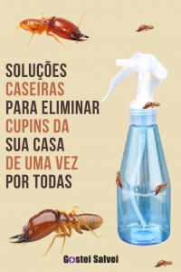 Read more about the article Soluções caseiras para eliminar cupins da sua casa de uma vez por todas