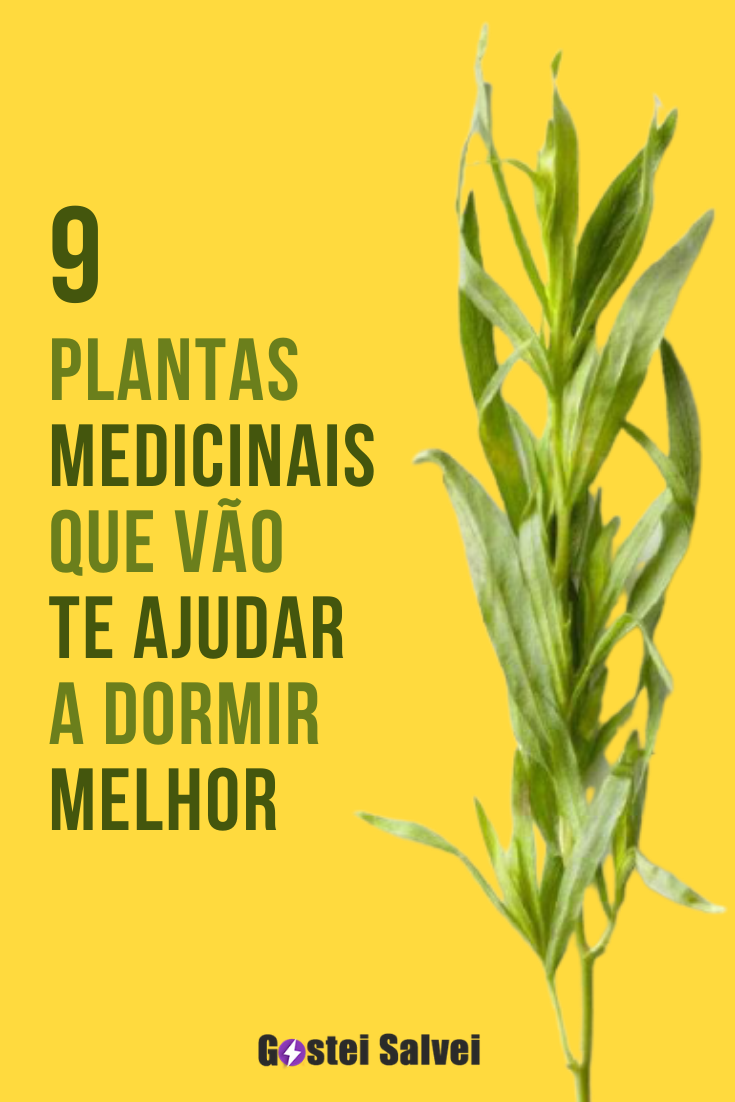 You are currently viewing 9 Plantas medicinais que vão te ajudar a dormir melhor