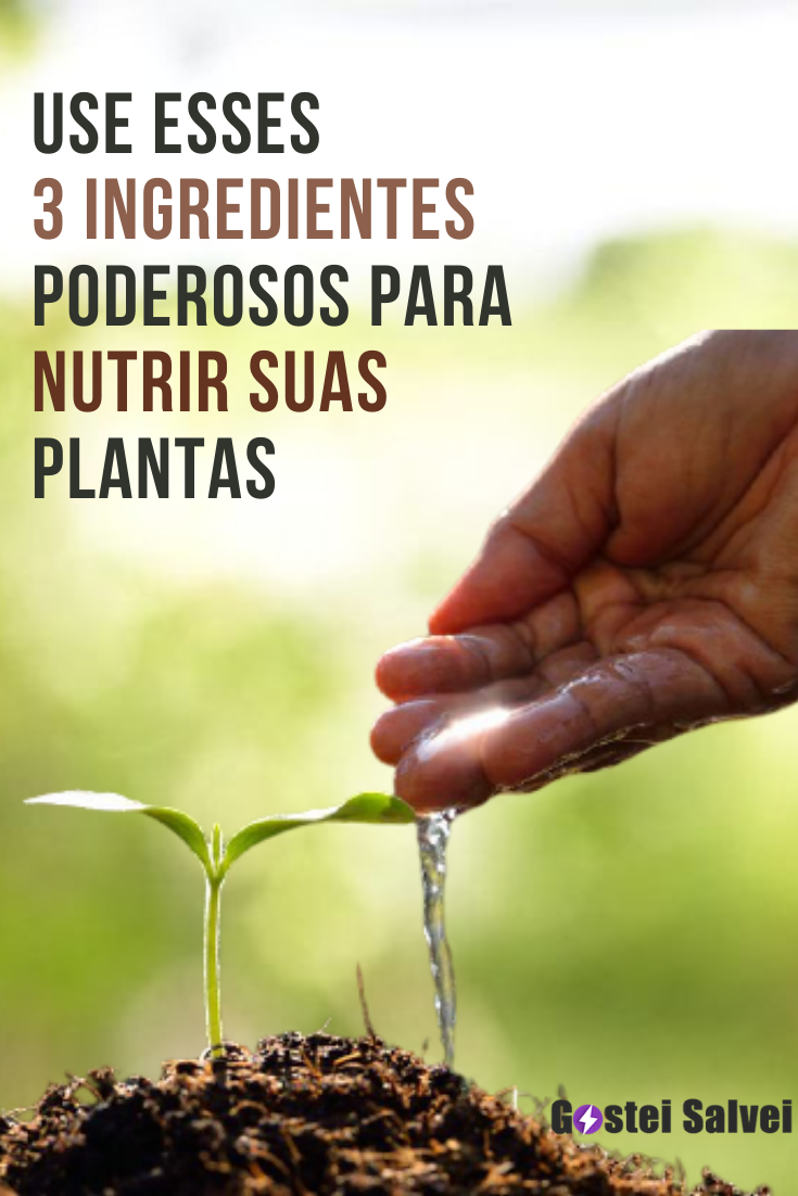 You are currently viewing Use esses 3 ingredientes poderosos para nutrir suas plantas (O melhor fertilizante caseiro)