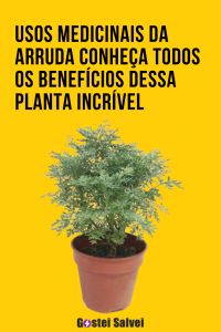 Read more about the article Usos Medicinais da Arruda – Conheça todos os benefícios dessa planta incrível