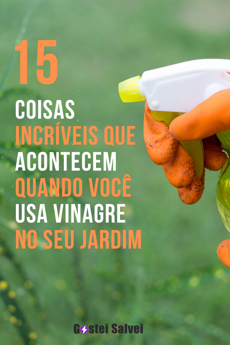 Você está visualizando atualmente 15 Coisas incríveis que acontece quando você usa vinagre no seu jardim