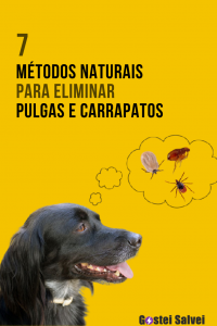 Read more about the article 7 Métodos naturais para eliminar pulgas e carrapatos