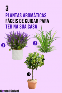 Read more about the article 3 Plantas aromáticas fáceis de cuidar para ter na sua casa