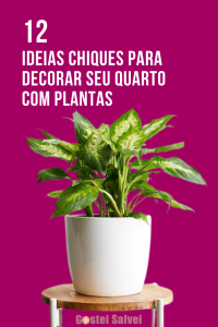 Read more about the article 12 Ideias chiques para decorar seu quarto com plantas