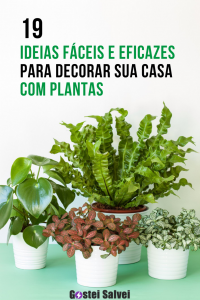 Read more about the article 19 Ideias fáceis e eficazes para decorar sua casa com plantas