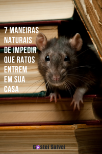 Read more about the article 7 Maneiras naturais de impedir que ratos entrem em sua casa