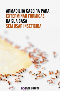 Read more about the article Armadilha caseira para exterminar formigas da sua casa sem usar inseticida