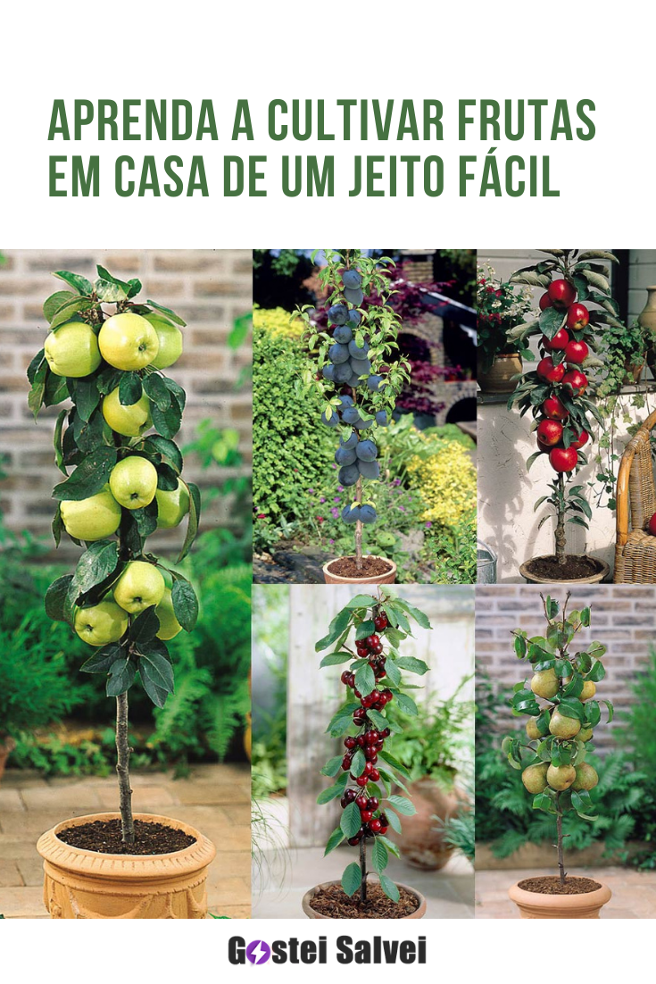 You are currently viewing Aprenda a cultivar frutas em casa de um jeito fácil