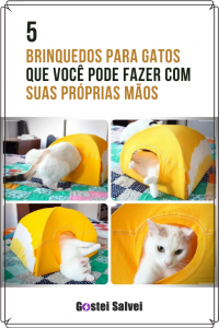 Read more about the article 5 Brinquedos para gatos que você pode fazer com suas próprias mãos