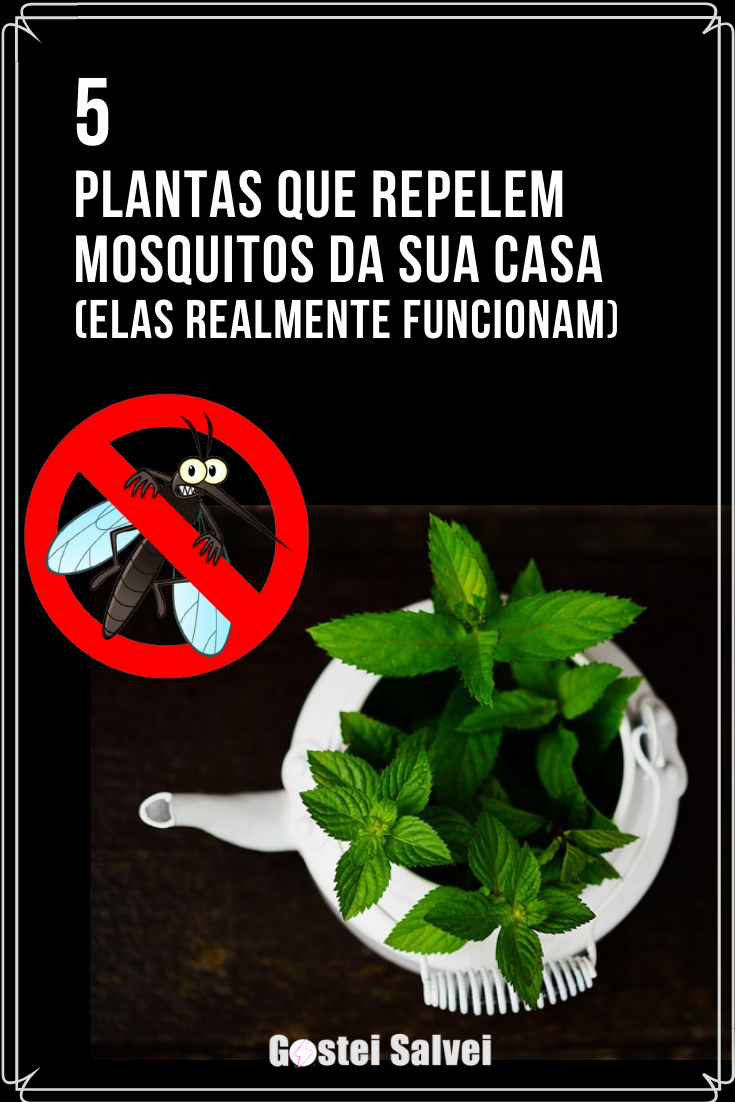 You are currently viewing 5 Plantas que repelem mosquitos – Elas realmente funcionam