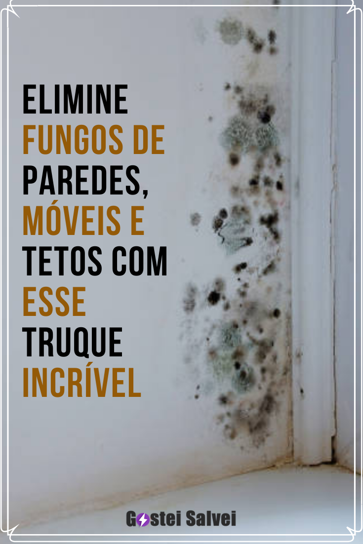 You are currently viewing Elimine fungos de paredes, móveis e tetos