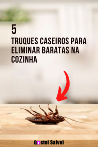 Read more about the article 5 Truques caseiros para eliminar baratas na cozinha