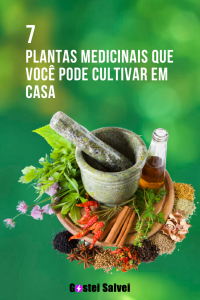 Leia mais sobre o artigo 7 Plantas medicinais que você pode cultivar em casa