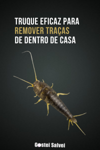 Read more about the article Truque eficaz para remover traças de dentro de casa