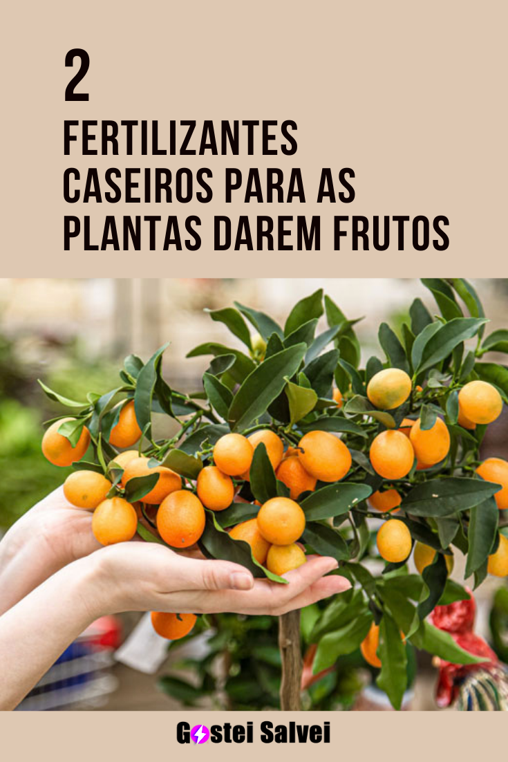 You are currently viewing 2 Fertilizantes caseiros para as plantas darem frutos