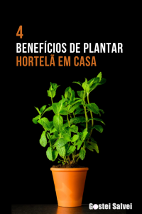 Read more about the article 4 Benefícios de plantar hortelã em casa