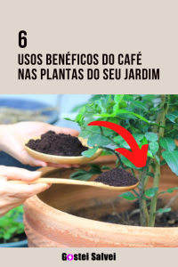 Read more about the article 6 Usos benéficos do CAFÉ nas plantas do seu jardim