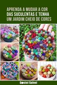 Read more about the article Aprenda a mudar a cor das suculentas e tenha um jardim cheio de cores