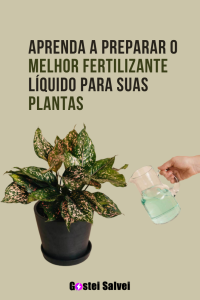 Leia mais sobre o artigo Aprenda a preparar o melhor fertilizante líquido para suas plantas