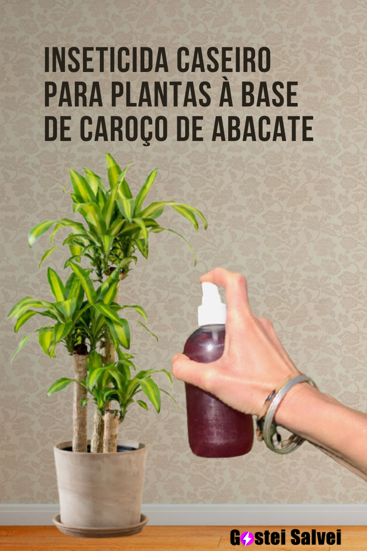 You are currently viewing Inseticida caseiro para plantas à base de caroço de abacate