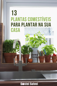 Read more about the article 13 Plantas comestíveis para plantar na sua casa