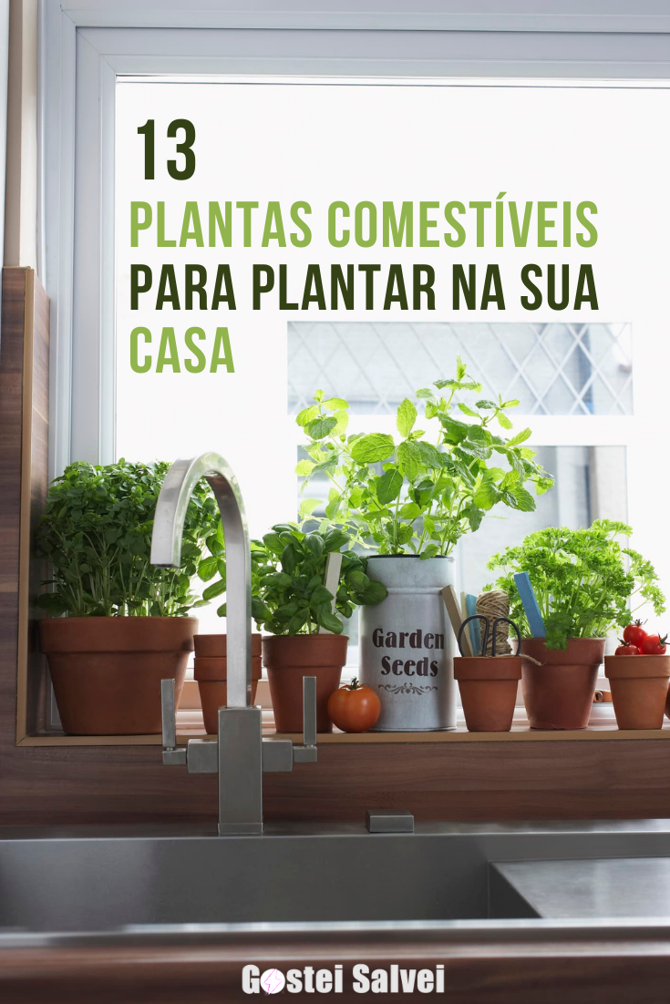 You are currently viewing 13 Plantas comestíveis para plantar na sua casa
