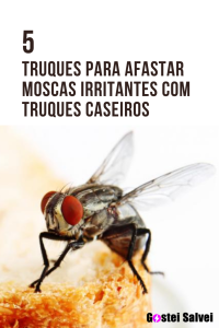 Read more about the article 5 Truques para afastar moscas irritantes com truques caseiros