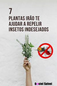 Leia mais sobre o artigo 7 Plantas irão te ajudar a repelir insetos indesejados