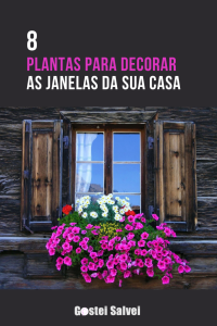 Leia mais sobre o artigo 8 Plantas para decorar as janelas da sua casa