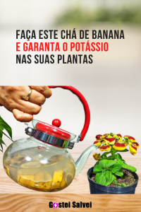 Read more about the article Faça este chá de banana e garanta o potássio nas suas plantas