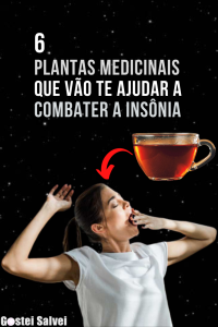 Read more about the article 6 Plantas medicinais que vão te ajudar a combater a insônia