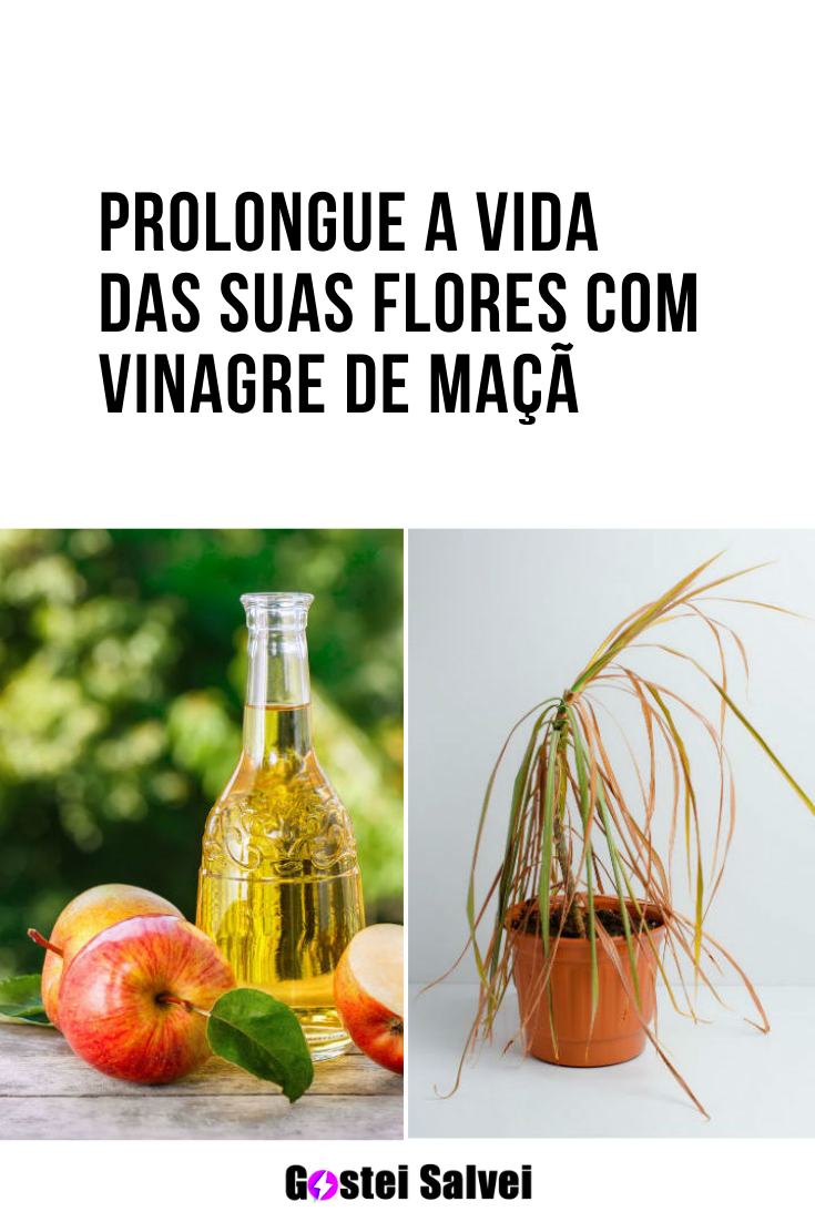 You are currently viewing Prolongue a vida das suas flores com vinagre de maçã
