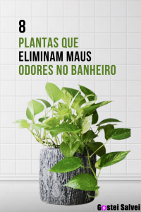Read more about the article 8 Plantas que eliminam maus odores no banheiro