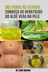Read more about the article Dos poros às estrias: Conheça os benefícios do aloe vera na pele