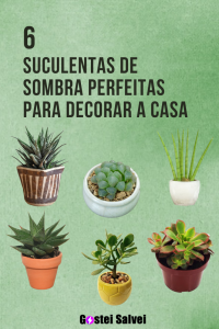 Read more about the article 6 Suculentas de sombra perfeitas para decorar a casa