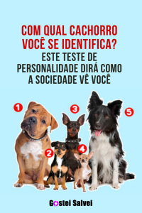 Read more about the article Com qual cachorro você se identifica? Este teste de personalidade dirá como a sociedade vê você