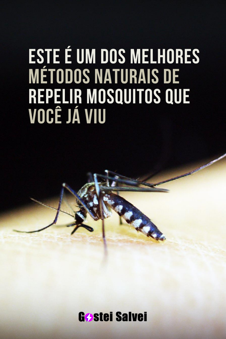 Você está visualizando atualmente Este é um dos melhores métodos naturais de repelir mosquitos que você já viu