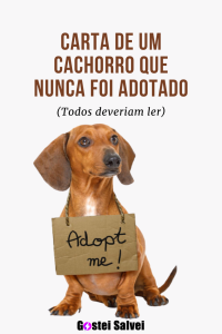 Read more about the article Carta de um cachorro que nunca foi adotado