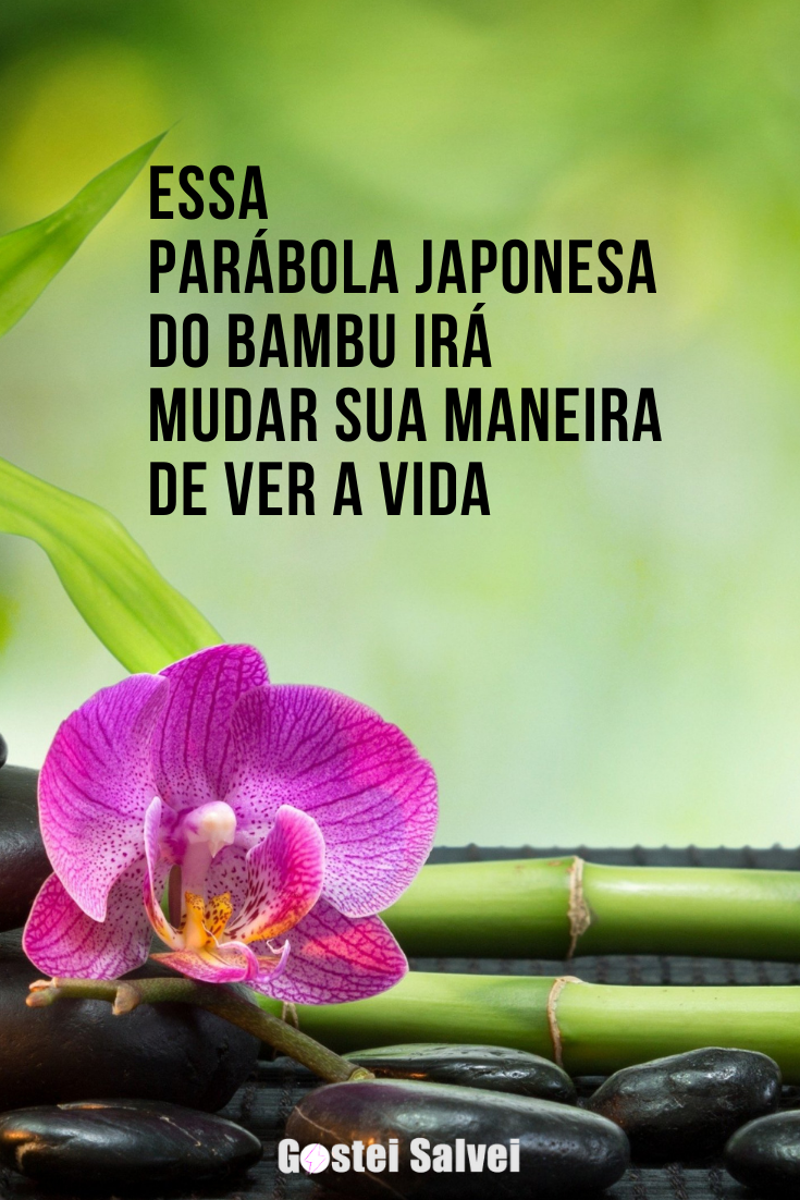 Você está visualizando atualmente Essa parábola Japonesa do bambu irá mudar sua maneira de ver a vida