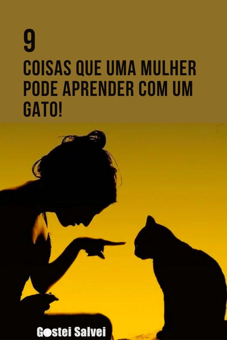 You are currently viewing 9 Coisas que uma mulher pode aprender com um gato!