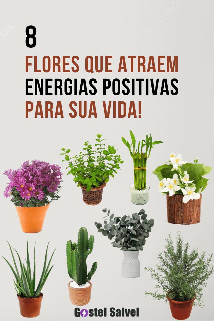 You are currently viewing <strong>8 Flores que atraem energias positivas para sua vida!</strong>