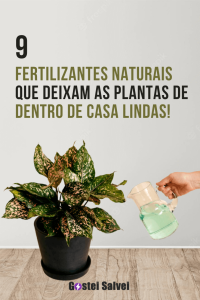 Read more about the article 9 Fertilizantes naturais que deixam as plantas de dentro de casa lindas!