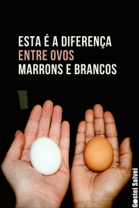 Leia mais sobre o artigo Esta é a diferença entre ovos marrons e brancos