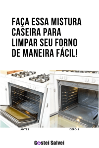 Read more about the article <strong>Faça essa mistura caseira para limpar seu forno de maneira fácil!</strong>