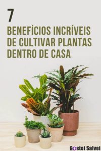 Leia mais sobre o artigo 7 Benefícios incríveis de cultivar plantas dentro de casa