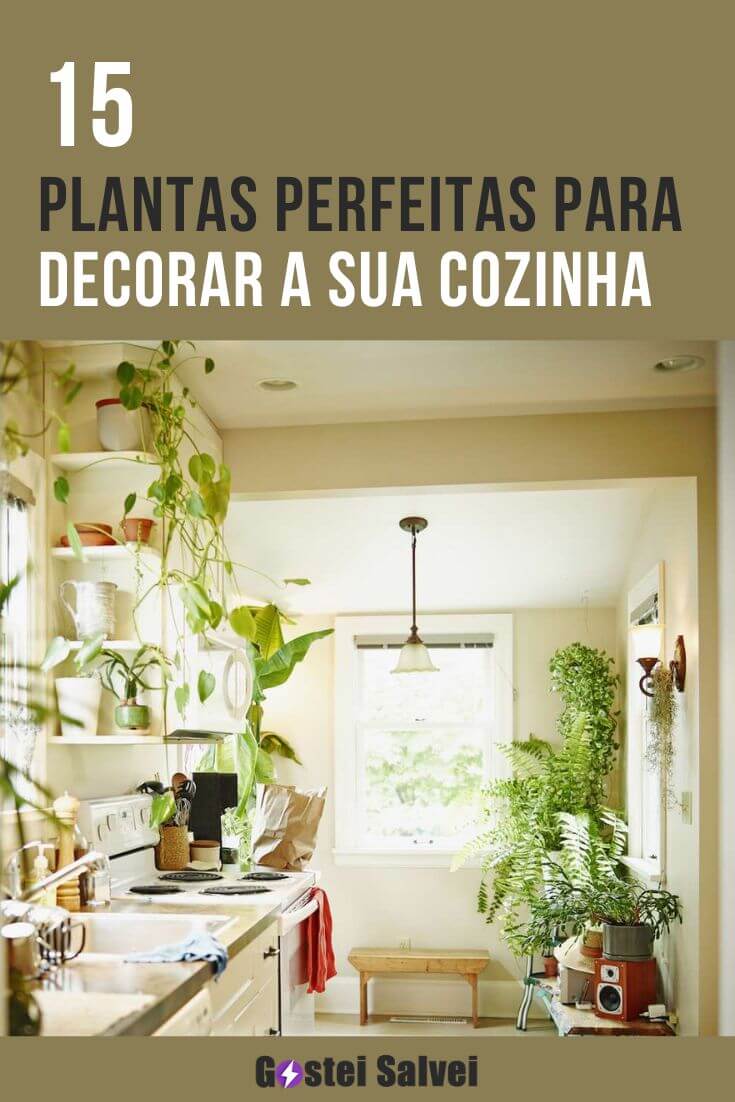 Você está visualizando atualmente 15 Plantas perfeitas para decorar a sua cozinha