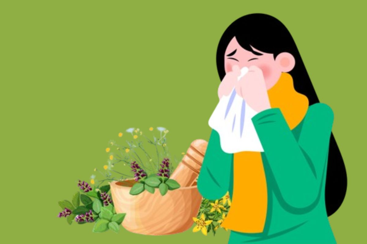 Você está visualizando atualmente 7 Ervas mais poderosas para combater gripes e resfriados