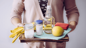 Leia mais sobre o artigo 7 Ingredientes naturais que você pode usar para limpar a casa